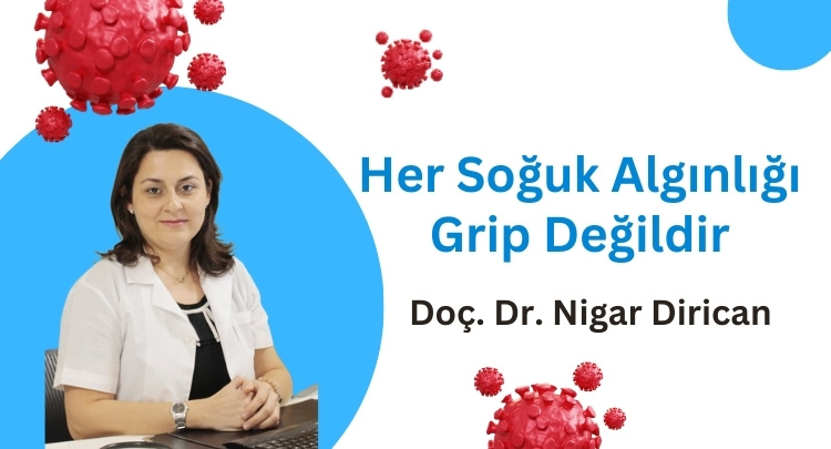 Her Soğuk Algınlığı Grip Değildir