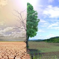 DSÖ’den ’iklim değişikliği’ uyarısı